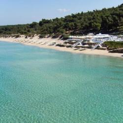 Imagine pentru Sani Beach Hotel&spa Cazare - Litoral Sani (kassandra) 2025