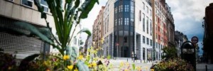 Imagine pentru Ibis Styles Hotel Brussels Centre Stephanie City Break - Belgia 2026