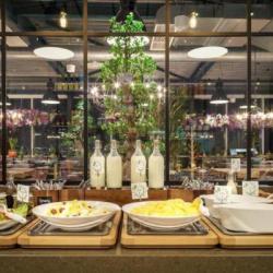 Imagine pentru Hotel Holiday Inn Brussels Airport Cazare - City Break Belgia 2026