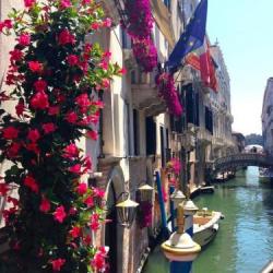 Imagine pentru Colombina Hotel Cazare - City Break Veneto la hoteluri de 4* stele 2025
