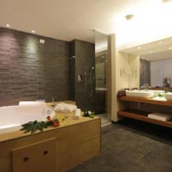 Imagine pentru Admiral Park Hotel Cazare - City Break Bologna 2025
