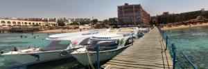 Imagine pentru Alia Beach Resort Cazare - Litoral Hurghada la hoteluri de 3* stele 2025