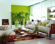 Imagine pentru Hotel Club Tropicana Playa- Gay Man Only Cazare - Litoral Playa Del Ingles 2025