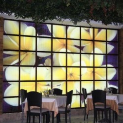 Imagine pentru Holiday Polynesia Apartments Cazare - Litoral Benalmadena 2026