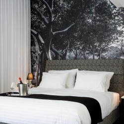 Imagine pentru Dizengoff Avenue Hotel Cazare - Tel Aviv District 2025