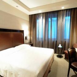 Imagine pentru Hotel Golden Palace Cazare - City Break Torino 2023