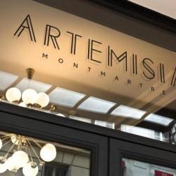 Imagine pentru Hotel Artemisia Montmartre Cazare - City Break Paris la hoteluri de 3* stele 2026