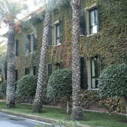 Imagine pentru Costa Blanca Cazare - Litoral Spania 2025