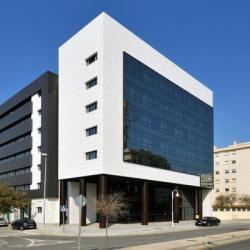 Imagine pentru Hotel Vincci Malaga City Break - Costa Del Sol 2026