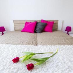 Imagine pentru Hotel Grand Budapest Penthouse Cazare - Ungaria la hoteluri de 3* stele 2025