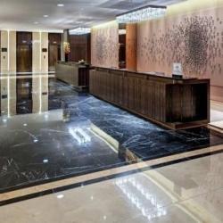 Imagine pentru Hilton Hotel Berlin Cazare - City Break Berlin la hoteluri de 5* stele 2025