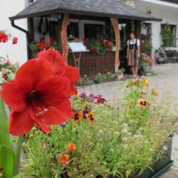 Imagine pentru Hotel Hildes Residence Cazare - Munte Gura Humorului la hoteluri de 4* stele 2025