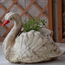 Imagine pentru Filia Apartments Cazare - Olympic Beach 2026