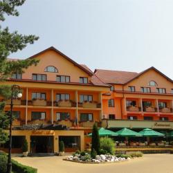 Imagine pentru Best Western Silva Hotel Cazare - City Break Sibiu la hoteluri de 3* stele 2025