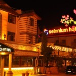 Imagine pentru Selenium Hotel