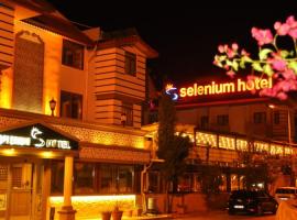 Hotel Selenium