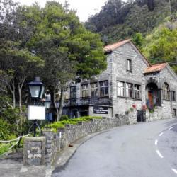 Imagine pentru Hotel Dorisol Pousada Dos Vinhaticos Cazare - Ribeira Brava 2024