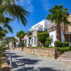 Imagine pentru Hotel Tui Magic Life Bodrum - Adults Only Cazare - Litoral Bodrum la hoteluri cu All inclusive 2026