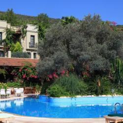 Imagine pentru Torba Cazare - Litoral Bodrum la hoteluri de 4* stele 2025