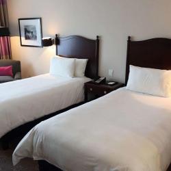 Imagine pentru Hotel The Brick Buenos Aires. Cazare - Argentina 2025