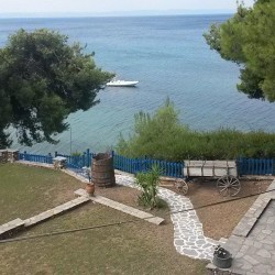 Imagine pentru Virginia Hotel Cazare - Litoral Nikiti (sithonia) 2025