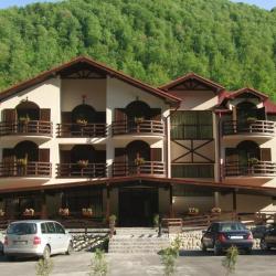 Imagine pentru Hotel Pension Carpathia Cazare - Bihor 2026