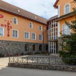 Imagine pentru Hotel Denis Cazare - Mures 2026