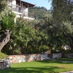 Imagine pentru Hotel Evlavia Apartamentos Cazare - Litoral Insula Skopelos 2024