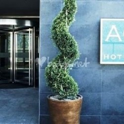 Imagine pentru Hotel Ac Coslada Aeropuerto Cazare - City Break Madrid 2024