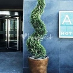 Imagine pentru Hotel Ac Coslada Aeropuerto City Break - Madrid 2026