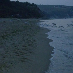 Imagine pentru Apartment In Panchev Complex Cazare - Litoral Byala 2026