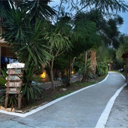 Imagine pentru Wilde Rose Hotel Cazare - Litoral Dassia 2025