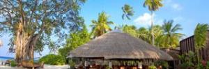 Imagine pentru Hotel Aaaveee Nature's Paradise Cazare - Dhaalu Atoll 2025