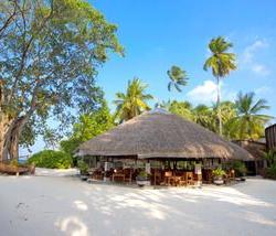 Imagine pentru Hotel Aaaveee Nature's Paradise Cazare - Dhaalu Atoll 2024