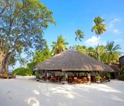 Imagine pentru Hotel Aaaveee Nature's Paradise Cazare - Dhaalu Atoll 2025