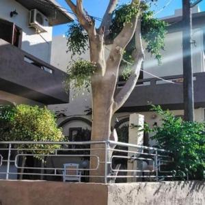 poza Fotoula Studios