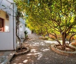 Imagine pentru Lemon Tree Studios Cazare - Litoral Pefkos 2026
