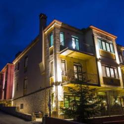 Imagine pentru Vaela Pallas Cultural Resort & Spa Cazare - Elatochori 2026