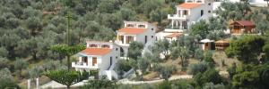 Imagine pentru Eye Q T Resort Cazare - Litoral Megali Ammos 2025