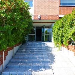 Imagine pentru Hotel Aalto Seaside Suite Cazare - Finlanda la hoteluri de 4* stele 2025