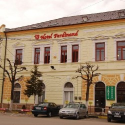 Imagine pentru Hotel Ferdinand Cazare - Hateg 2027
