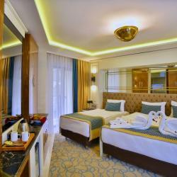 Imagine pentru Beethoven Premium Hotel Cazare - City Break Fatih 2025
