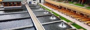 Imagine pentru Blidari Cazare - City Break Maramures la hoteluri de 3* stele 2025
