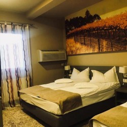 Imagine pentru Hotel Sarea-n Bucate Cazare - Turda 2024