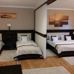 Imagine pentru Hotel Victoria Cazare - Munte Borsa la hoteluri de 3* stele 2025