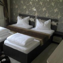 Imagine pentru Hotel Best Cazare - Munte Hunedoara 2024