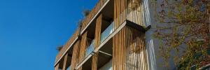 Imagine pentru Hotel Menel - The Tree House Cazare + Autocar - Limenaria 2025