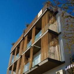 Imagine pentru Hotel Menel - The Tree House Cazare + Autocar - Limenaria 2025