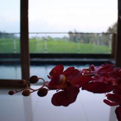 Imagine pentru Hotel Green Fields Luxury Villas Cazare - Litoral Ubud la hoteluri de 4* stele 2025