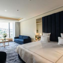 Imagine pentru Hotel Swissotel Sarajevo Cazare - Bosnia Si Hertegovina 2026